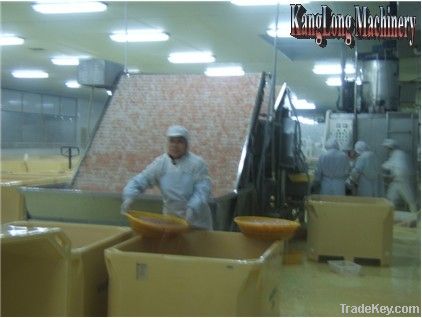 Shrimp Sorting Machine