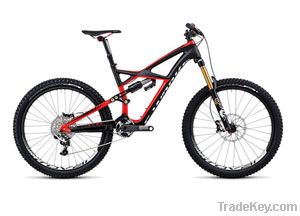 S-WORKS ENDURO CARBON