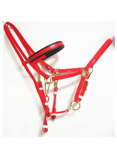 marathon endurance bridle with brass buckle