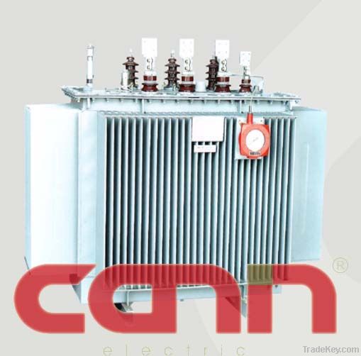 Oil Immersed Power Transformer