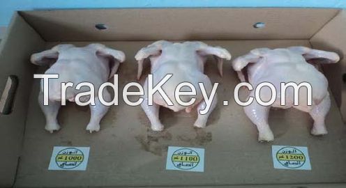  A grade HALAL Frozen chicken Leg Quarter, Fillet, Wing, Thigh, Drumstick. 