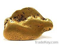 Gold Nugget