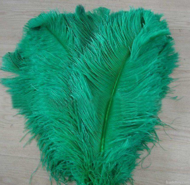 ostrich feather