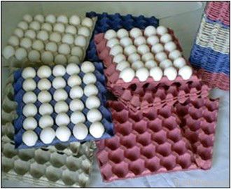 Full-automatic egg tray/dish making machine