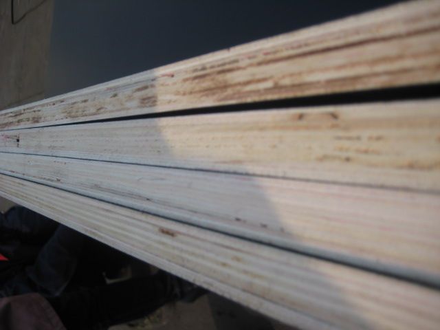 Hot and Cheap black Film faced plywood 