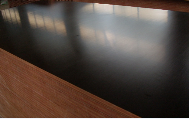 FSC Film faced plywood,