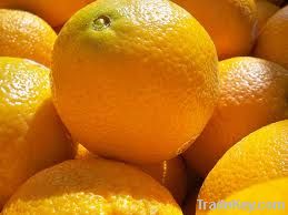 Navel Orange