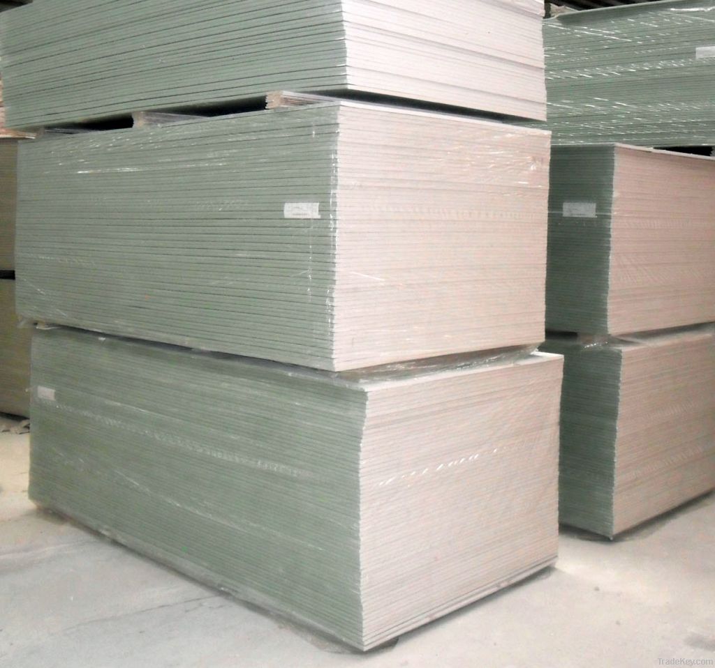 top rank paper faced gypsum board