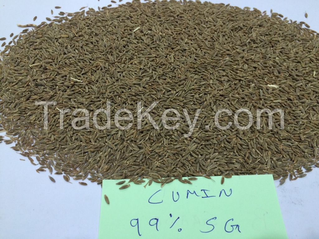 Cumin Seeds