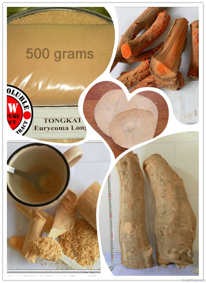 Tongkat Ali Extract