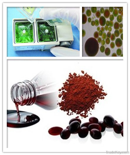 Haematococcus Pluvialis Extract Astaxanthin