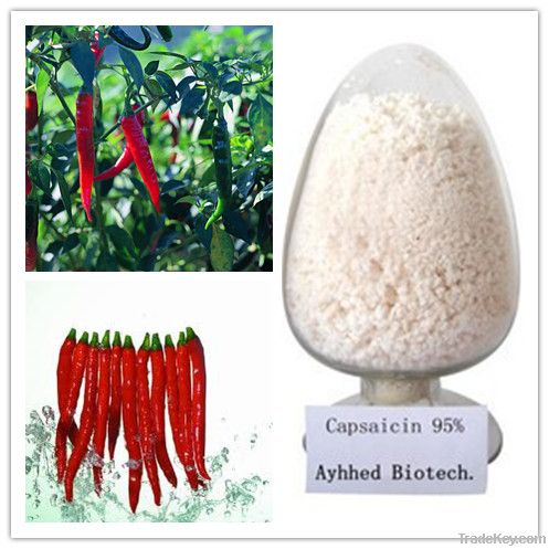 Chili Pepper Extract Capsaicin