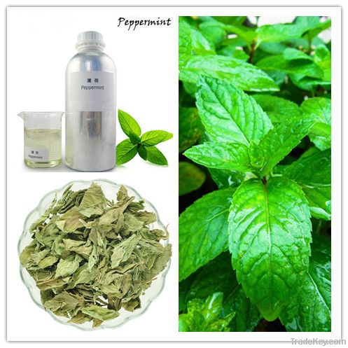 Peppermint Essential Oil