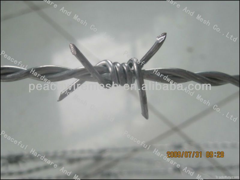 Electric Galvanized Barbed Wire