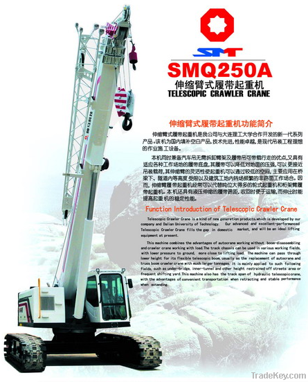 25T Telescopic Crawler crane