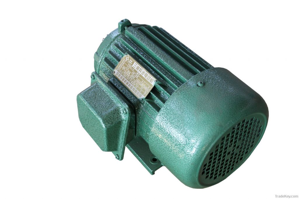 Three-Phase Asynchronous Electric Motor(Y 112M-2 )