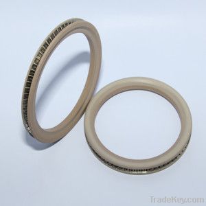 Spring energized seals DTUS