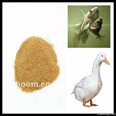 feed grade choline chloride