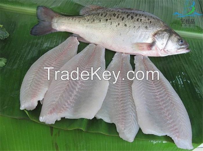 Frozen Seabass Fillet (Lateolabrax japonicus) Frozen Farm Raised Seafood