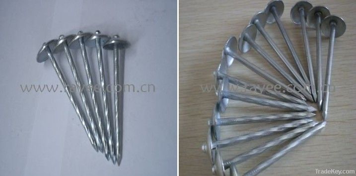 Umbrella Head Roofing Nail