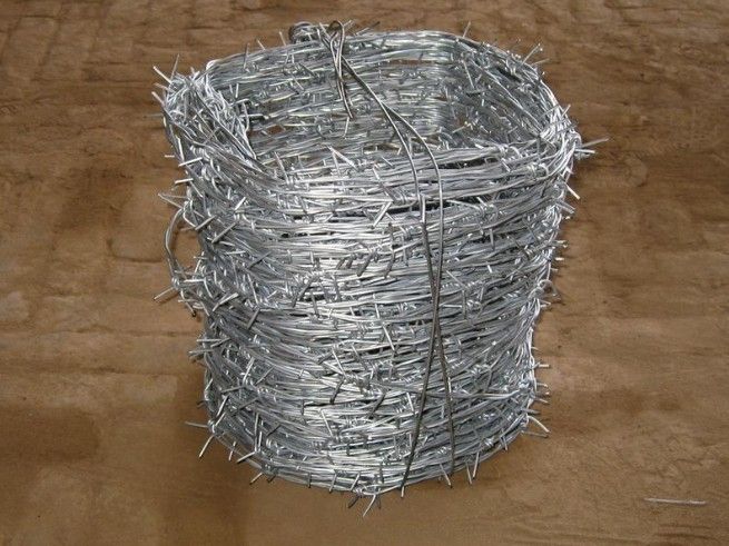 barbed wire mesh