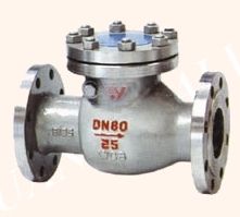 Swing Check Valve