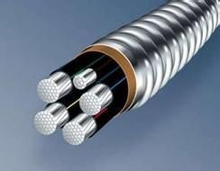 4+1 Cores Yjhlv8 (AC90) Aluminum Alloy Cable