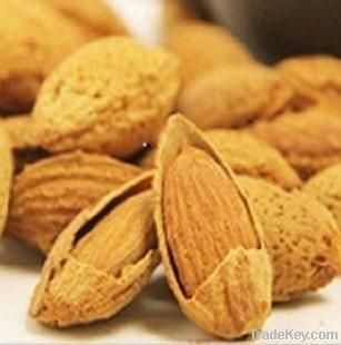 Almond badam