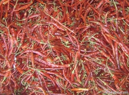 DRIED CHILLI PEPPER