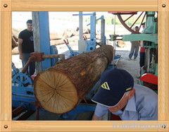 wood vertical band saw with CNC log carrige