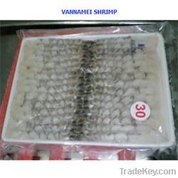 Vannamei Shrimp