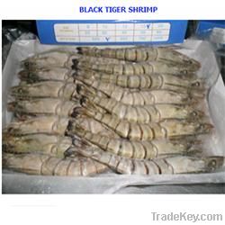 Black Tiger Shrimp