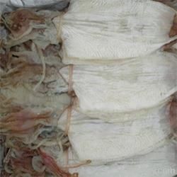 Dried Squid