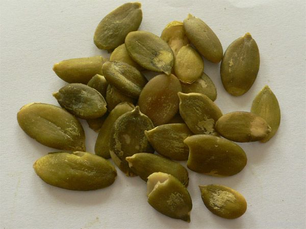 Pumpkin Seed Kernels- Shine skin or Snow white type.