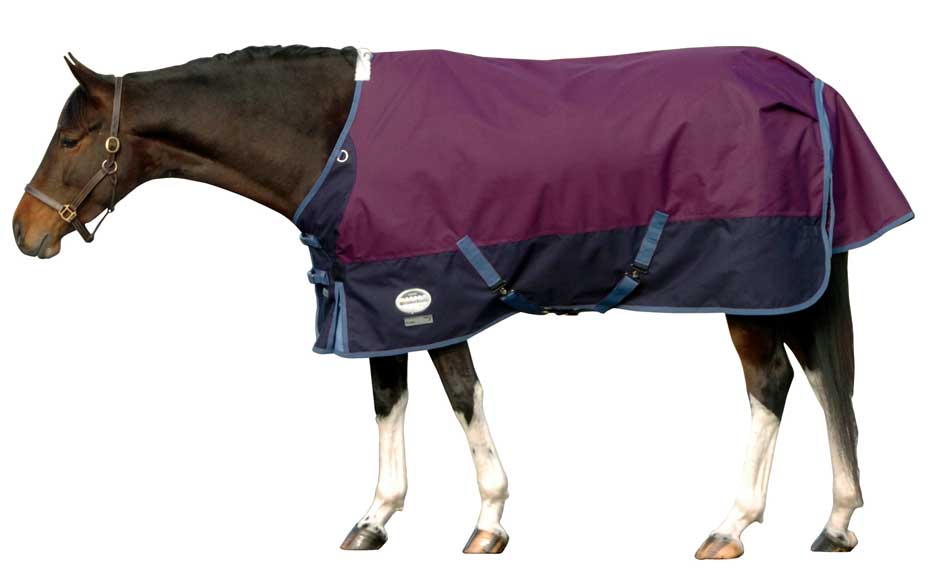 Horse Blankets