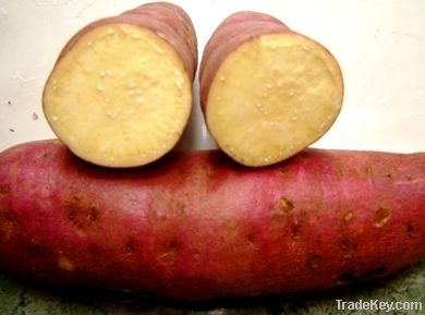 sweet potato