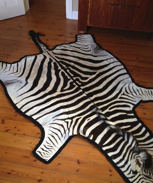 &Atilde;&cent;&iuml;&iquest;&frac12;&iuml;&iquest;&frac12;zebra and lion hides