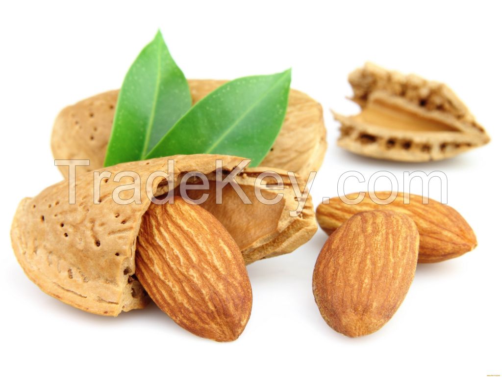 Almond / Badaam