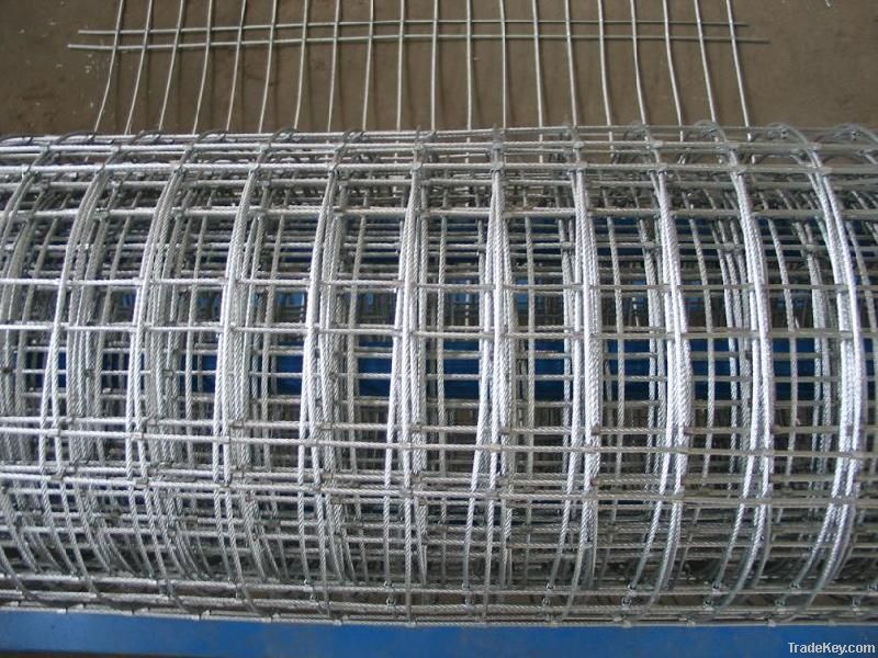 Welded Wire Mesh