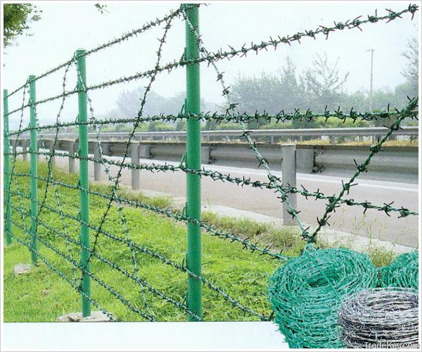 Barbed Wire