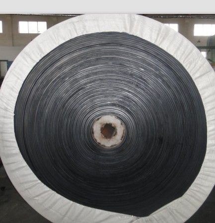 Nylon Conveyor Belt