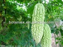 Bitter Melon Extract 10%-20% Charantin 