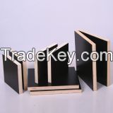 Plywood/Film Faced Plywood/ MDF/ Chip Boards/Okoume/Hardwood Plywood