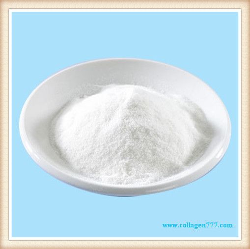  collagen peptide