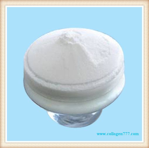 fish collagen peptide