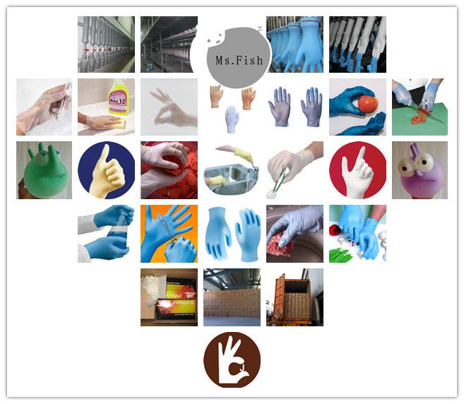 China Vinyl Glove/PVC Glove/Disposable Glove