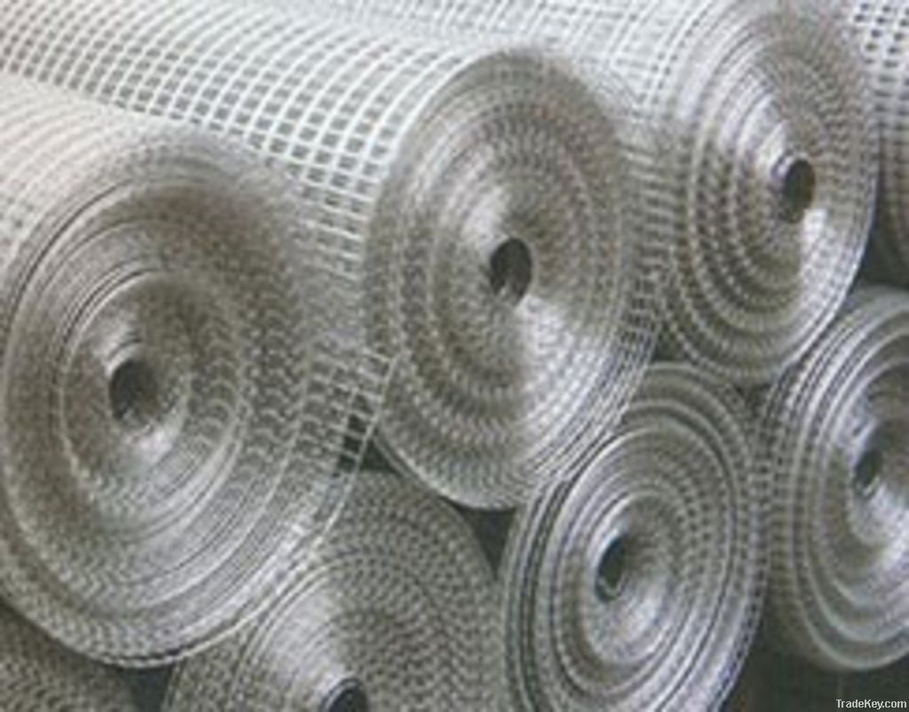 Galvanized Welded Wire Mesh