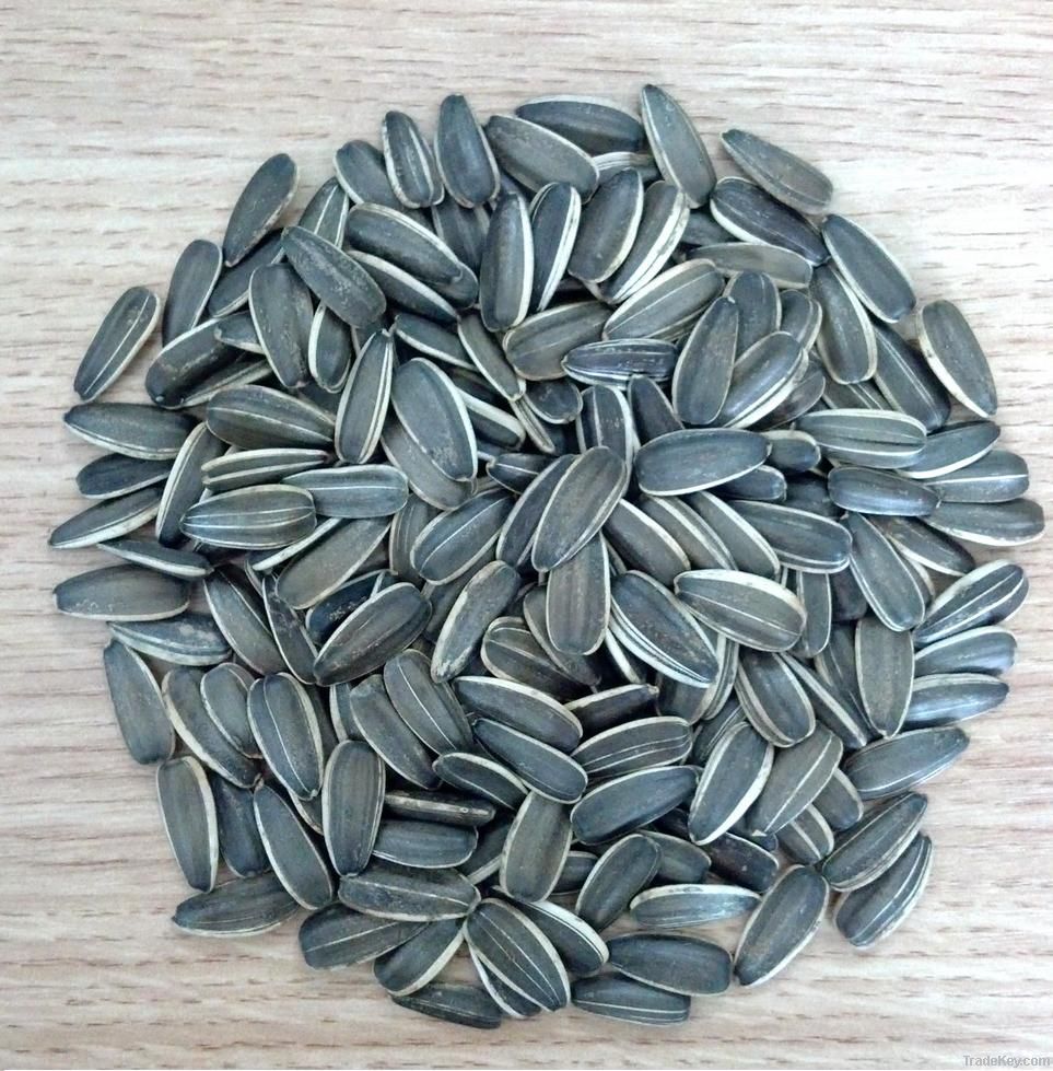 Sunflower seeds