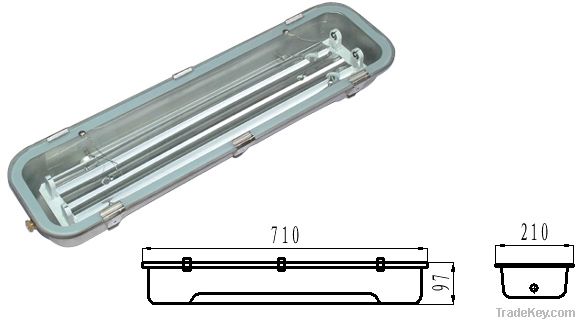 IP65 WFS218 Industrial waterprool fluorescent light fixture for LED