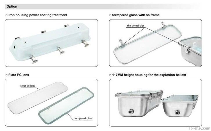 IP65 WFS136 Industrial waterprool fluorescent light fixture for LED si